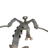 Spore GIF 20 06 2008 22 41 15