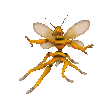 Spore GIF 22 06 2008 19 00 21