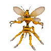 Spore GIF 22 06 2008 19 00 25
