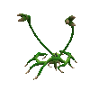 Spore GIF 22 06 2008 20 06 07