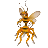Spore GIF 23 06 2008 20 11 51