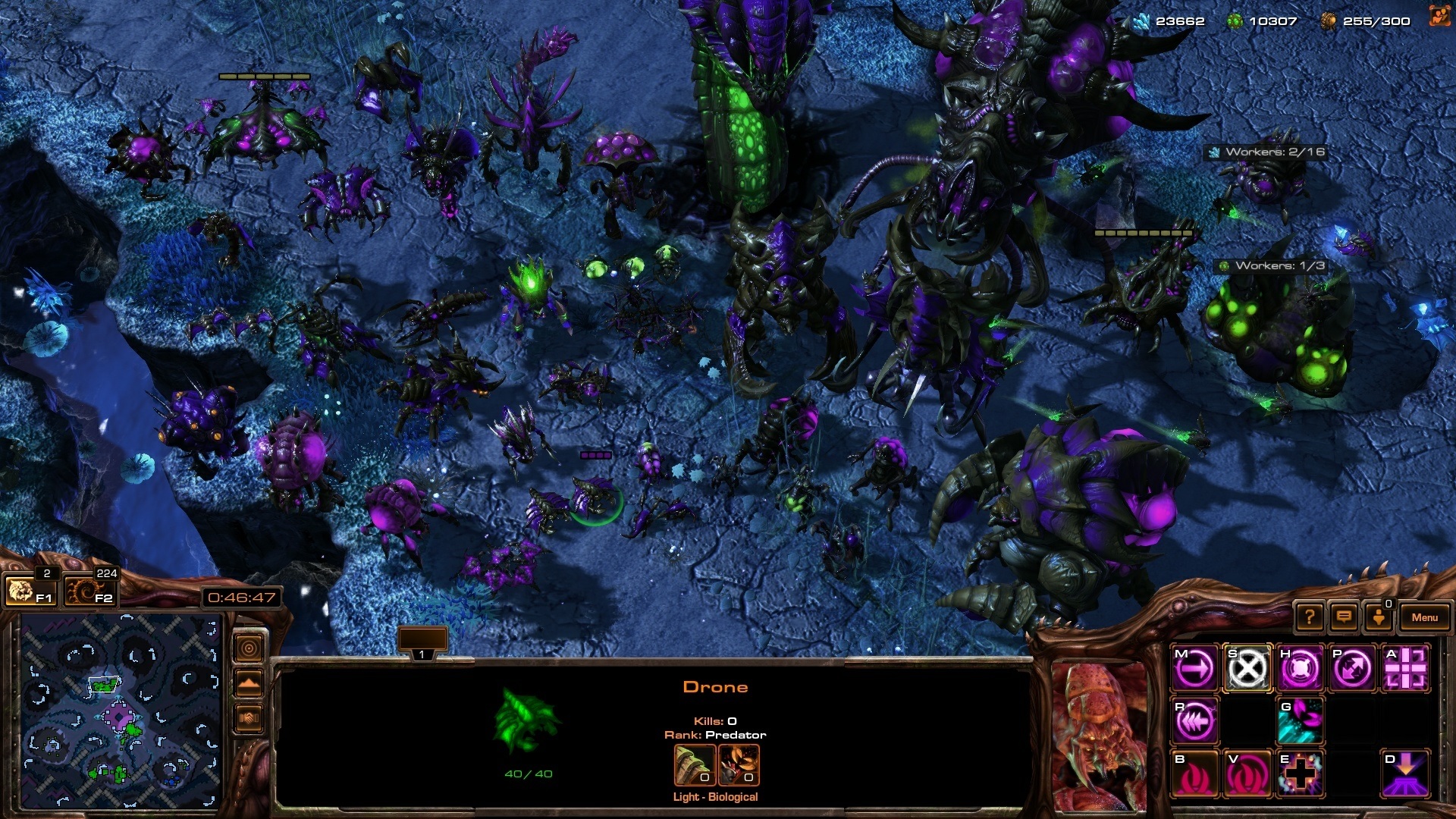 starcraft futures 1.24 zerg unit roster wip
