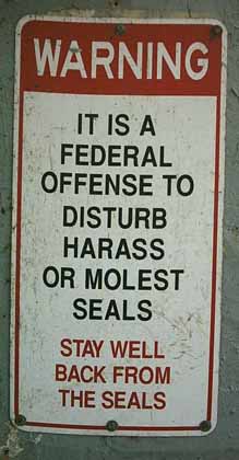 stay well back from the seals