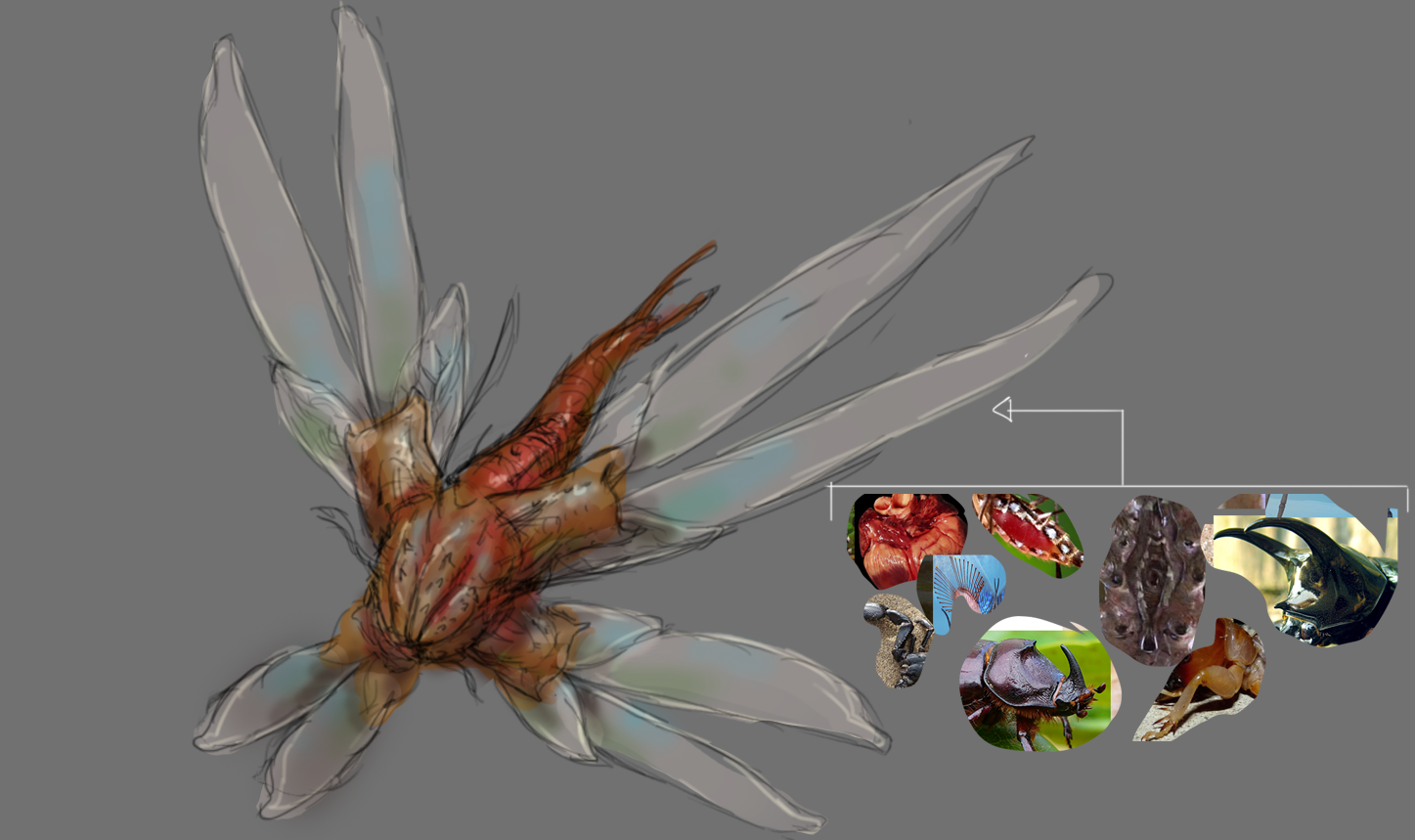 Step5