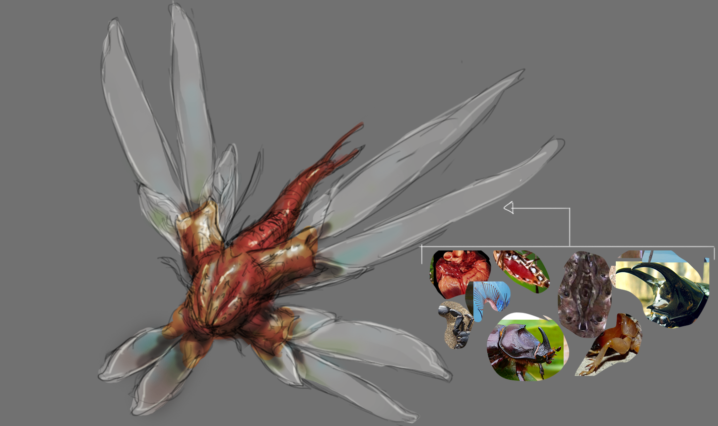 Step6