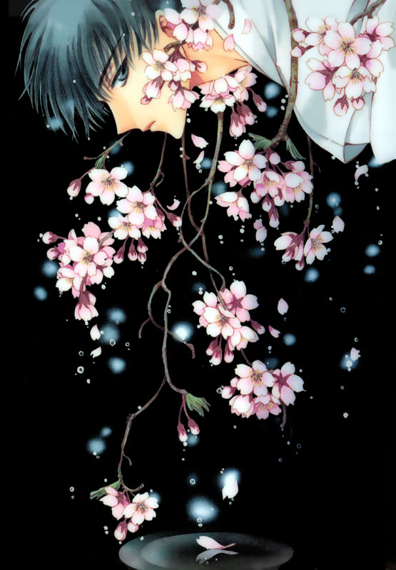 Subaru with sakura flowers (dunno who he is.. just randomly found on internet xDD)