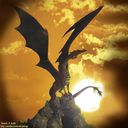Sunset Dragon