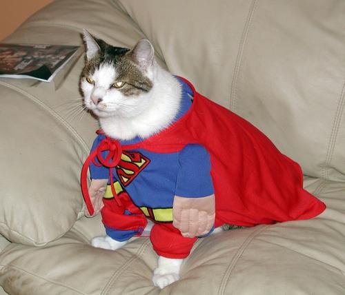 Superkitty