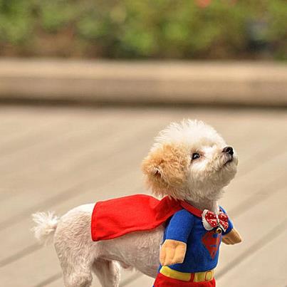 superman
