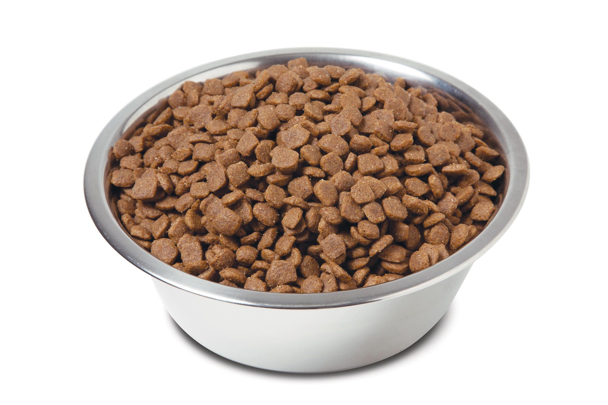 SuperPremiumNaturalDogFoodinBowl