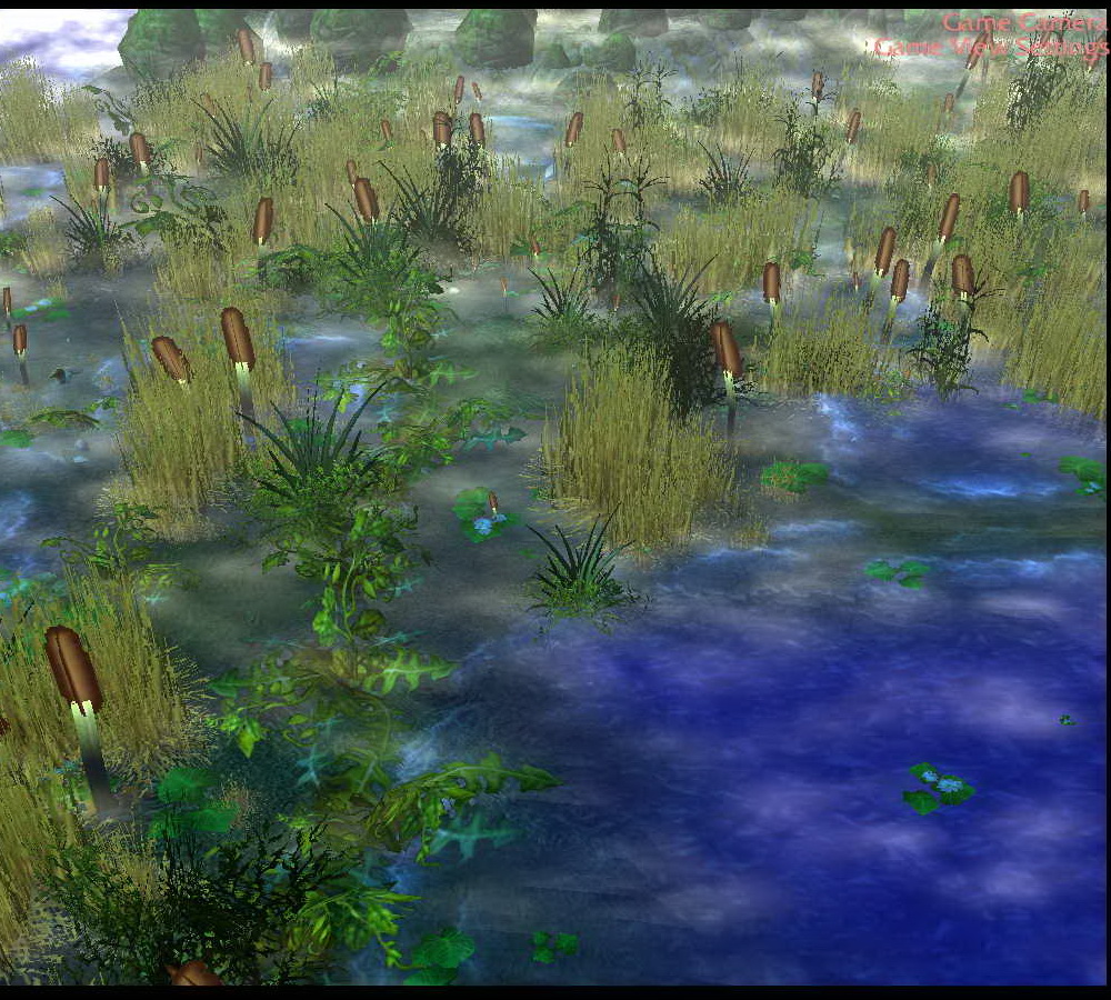 Swamp
