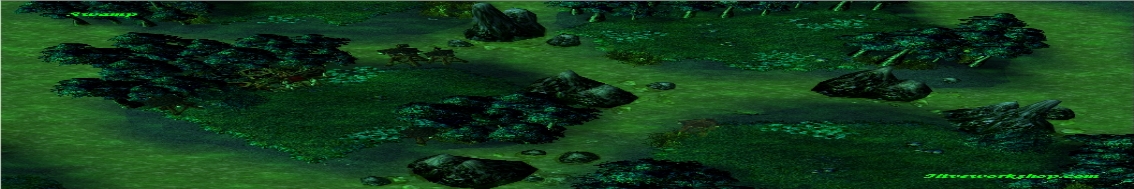 Swampborder2