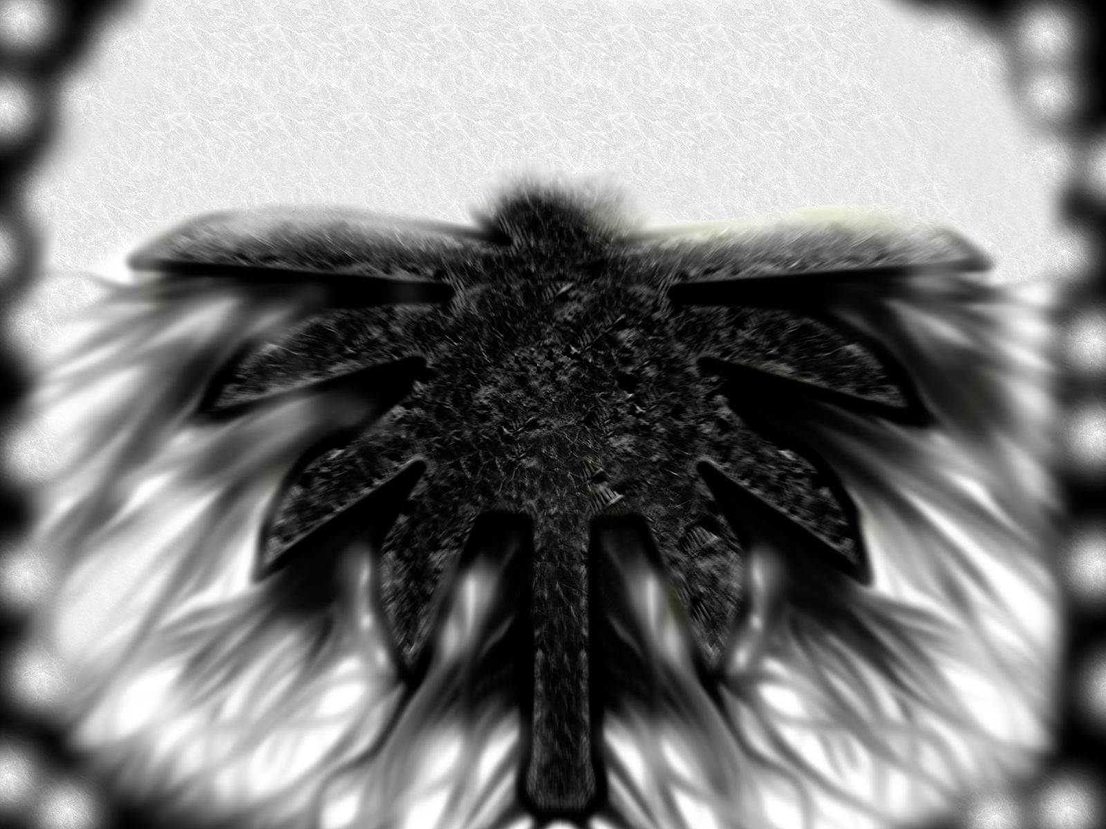 Symbol