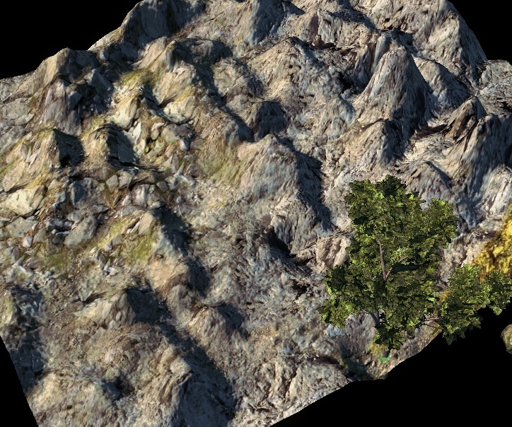 Terrain 003