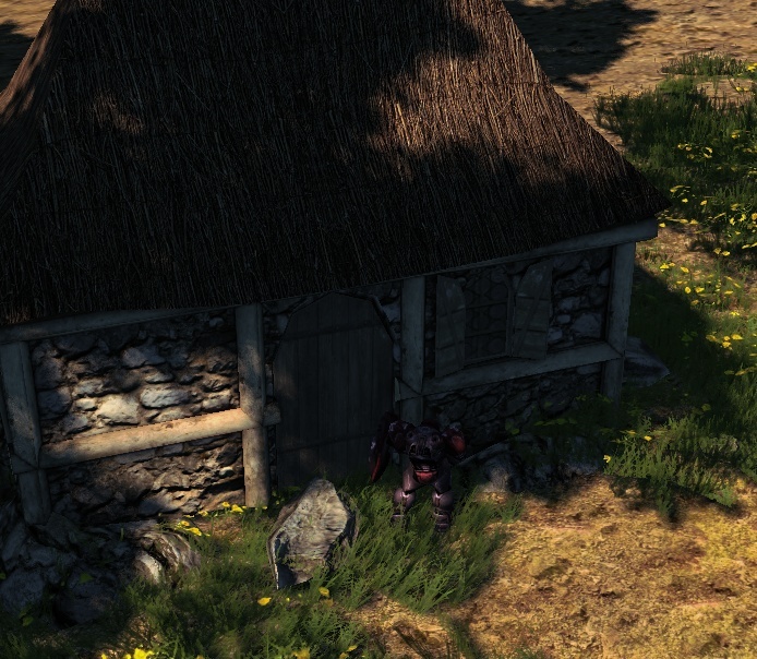Terrain 005