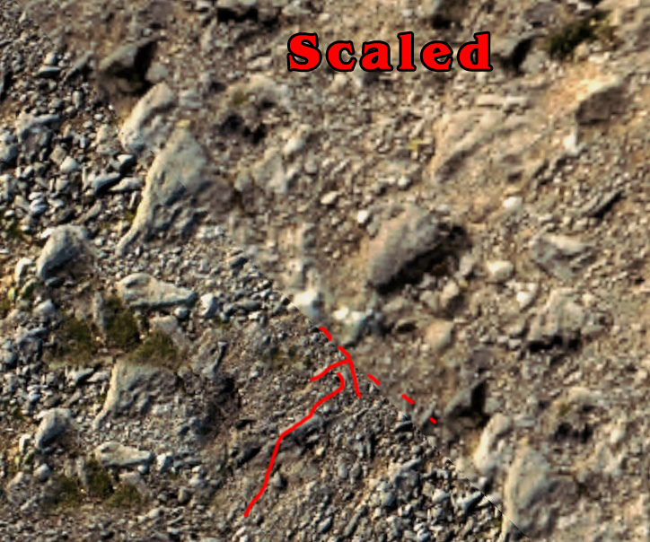 Terrain 006