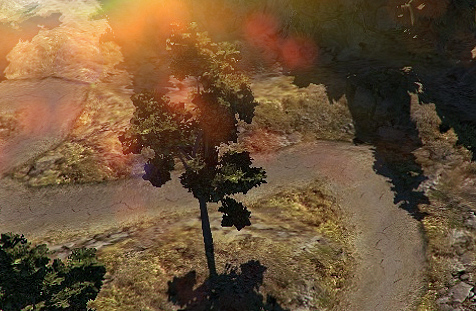 Terrain 014