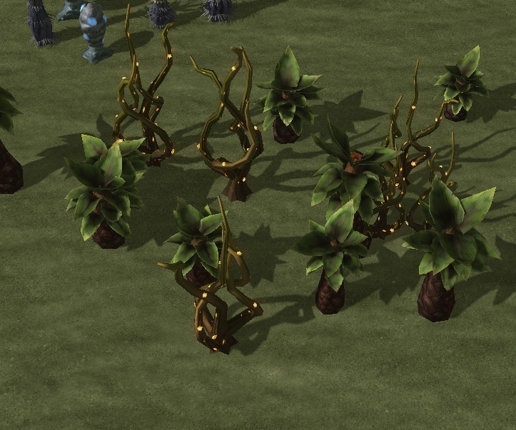 Terrain 038