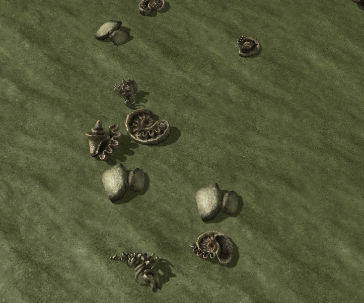 Terrain 043