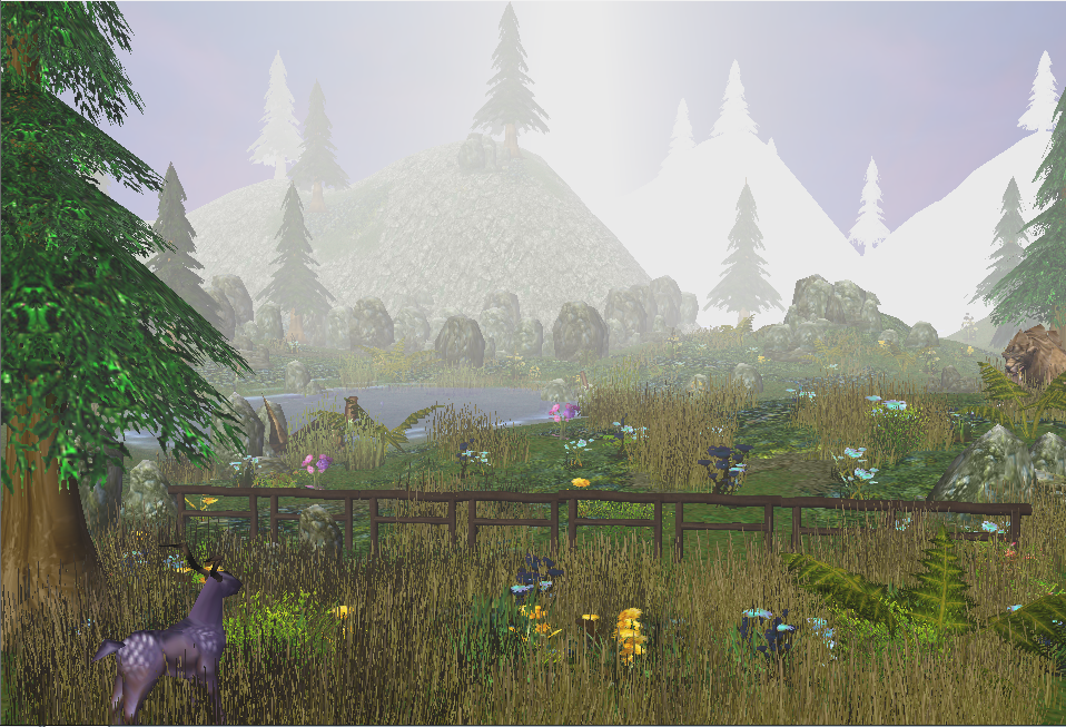 Terrain 1