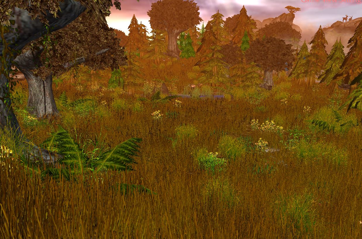 Terrain