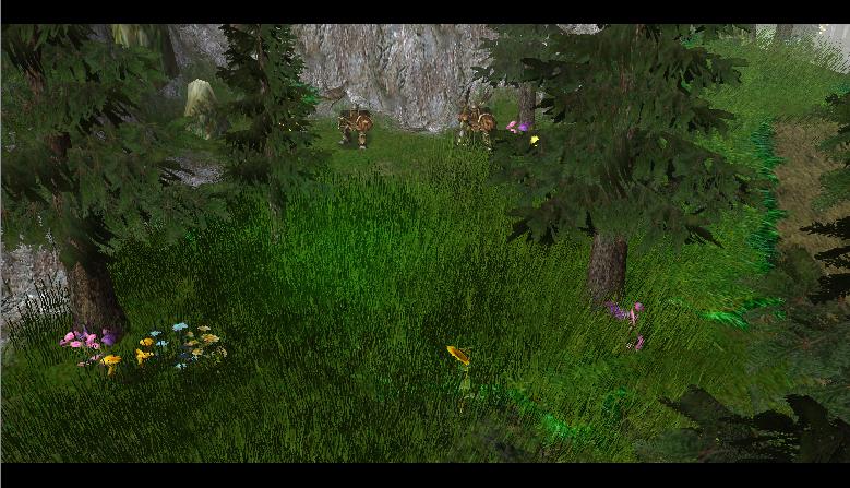Terrain05
