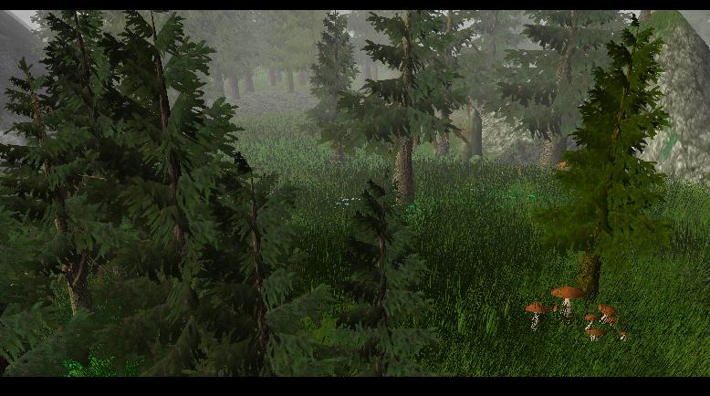 Terrain08