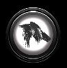 The Dark Raven Team 2010
