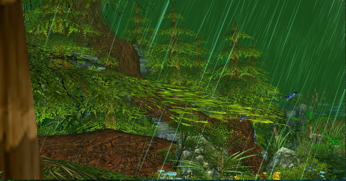 The Dense Environment