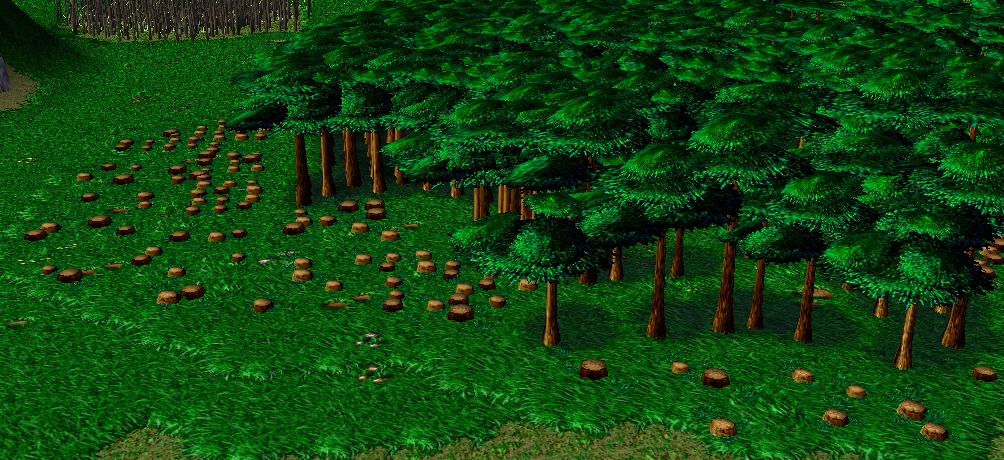 The East Forest. This is where they cut the wood for their uses.