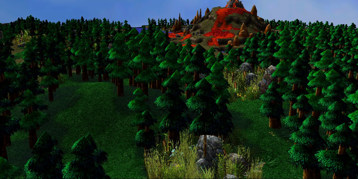 The Forest