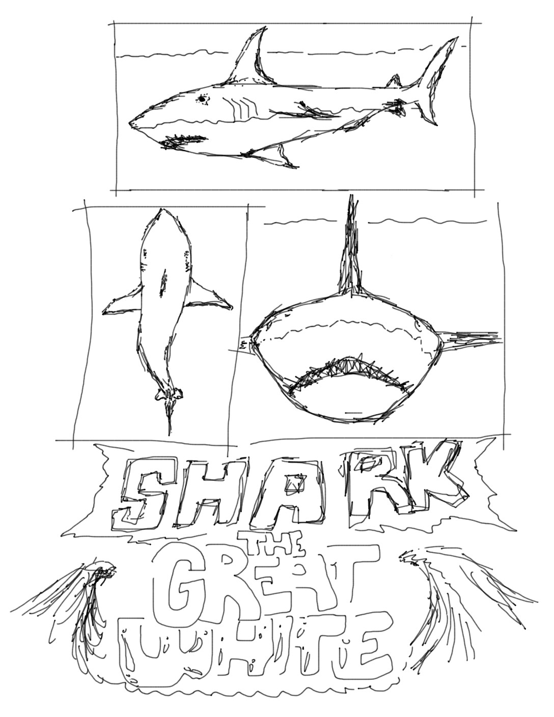 The Great White Shark