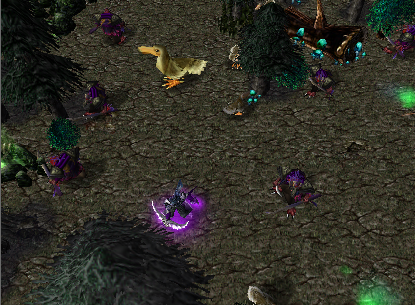 The grouse and arakkoa priests have began trying to purify the Plaguewoods! So far they are successful!

Though, some Arakkoa and Grouse have been t