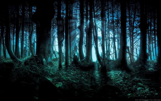 The Haunted Wood