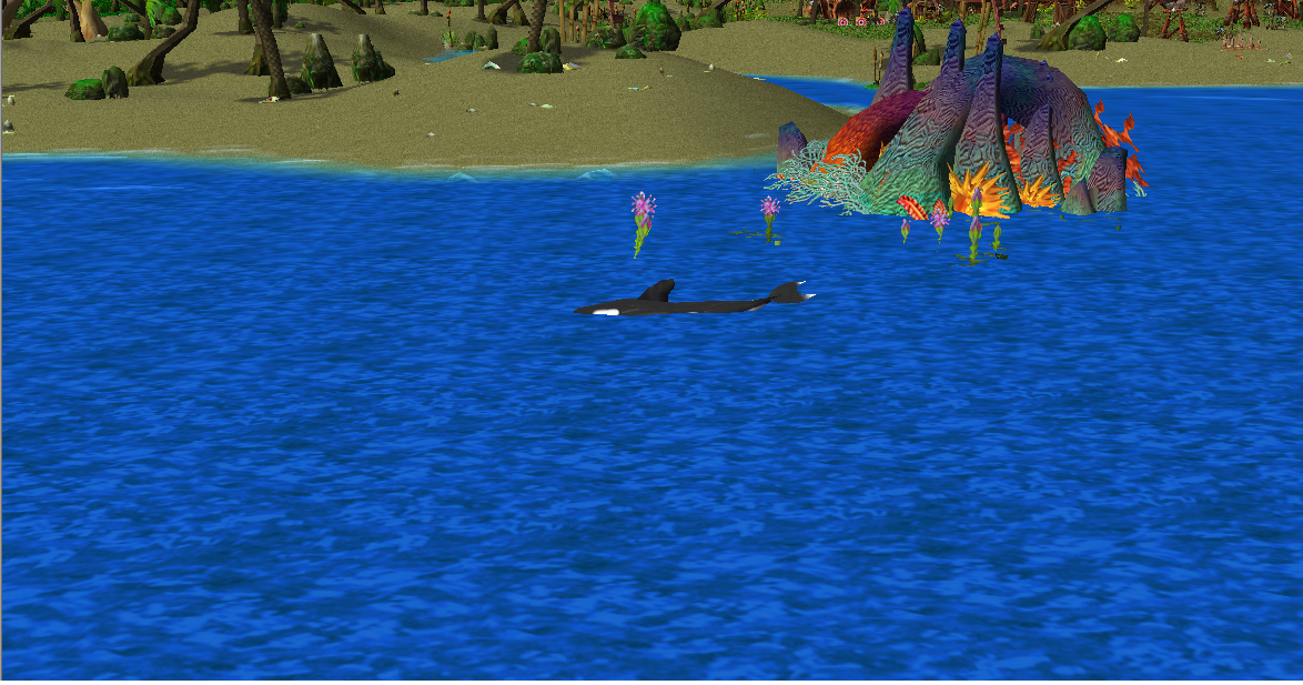 The killer whale