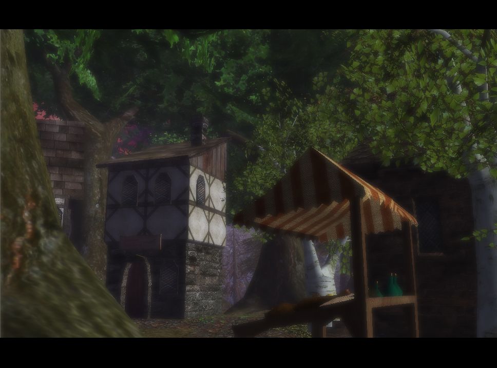 The second village, looking at the right side of the town viewing a cute market stand