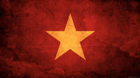 The Vietnamese Modding Group