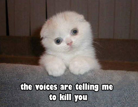 The voices... they be tellin me to kill you...
