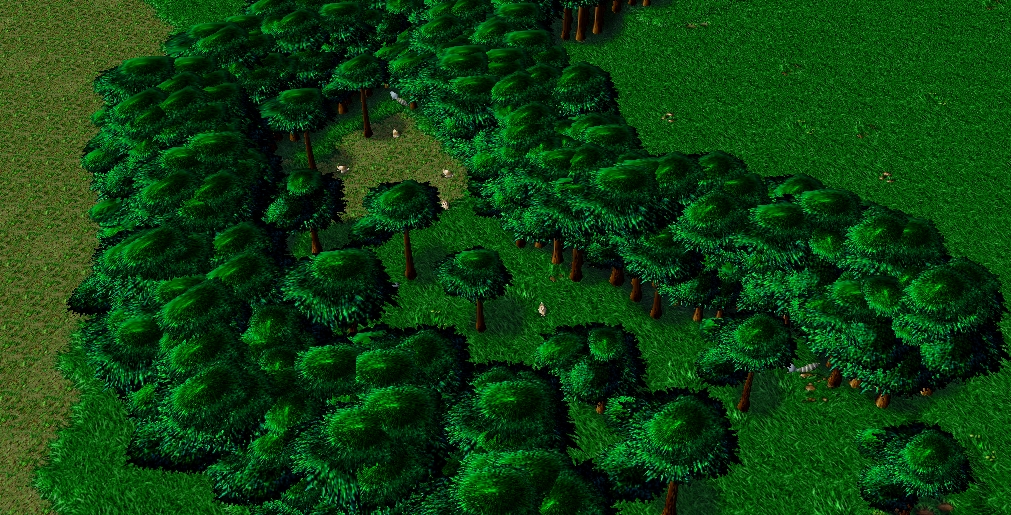 The West Forest. They don't cut any trees from here because they believe it's a sacred forest. Ancients tell that when the great founder of the villag