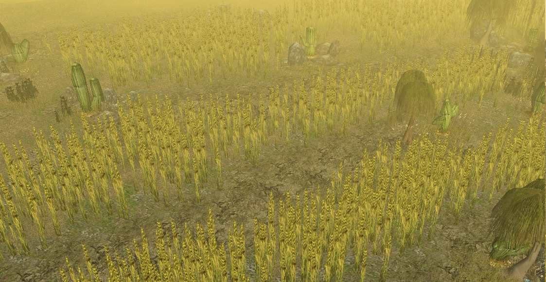 The Wheat Terraces