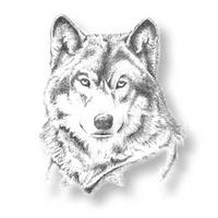 The Wolf Pack