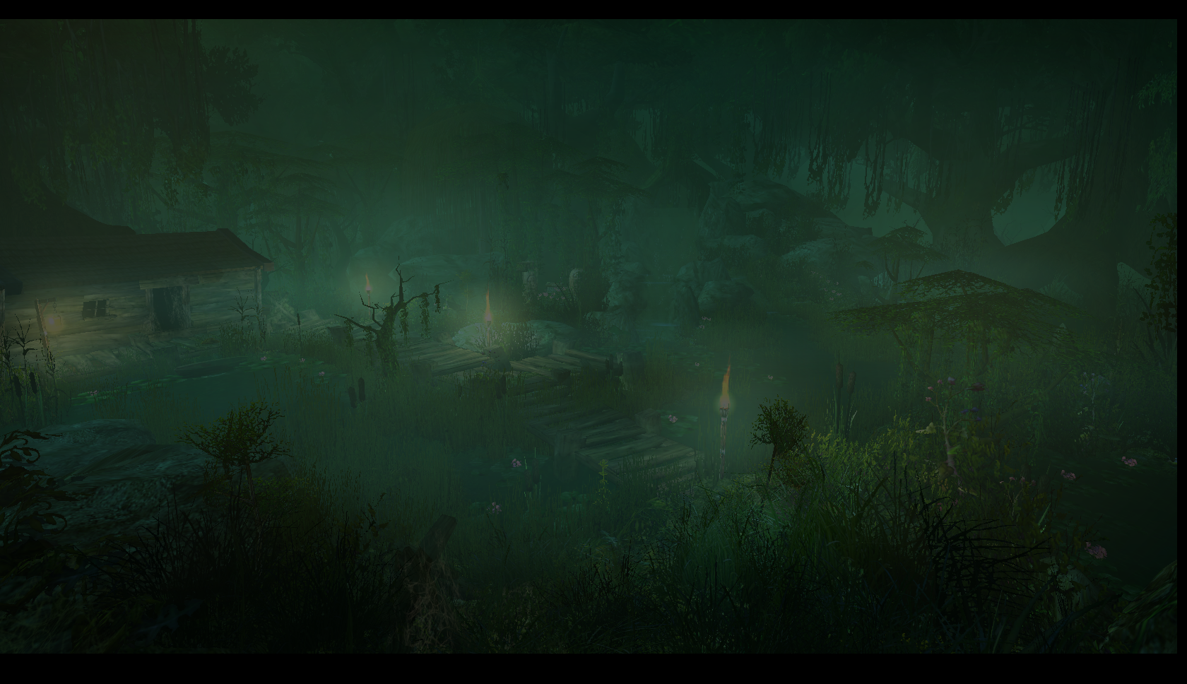 ThePicture4 - Swamp
