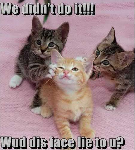 They didn't do it :3