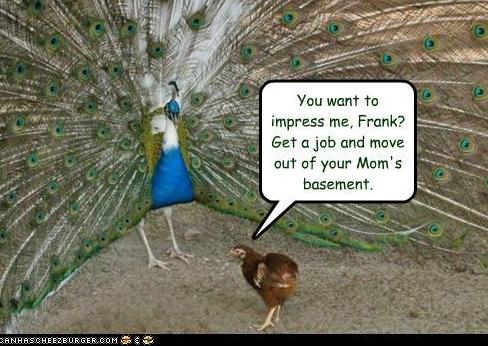 This is funny. Laugh or die!