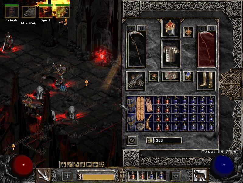 This is some of the potions I used to kill Diablo (I used 5 times as many)