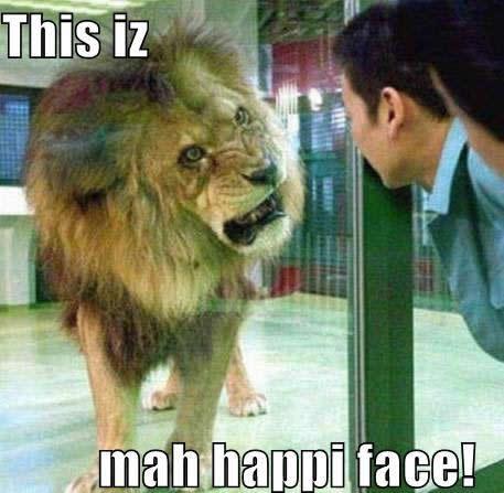 This iz mah happi face!