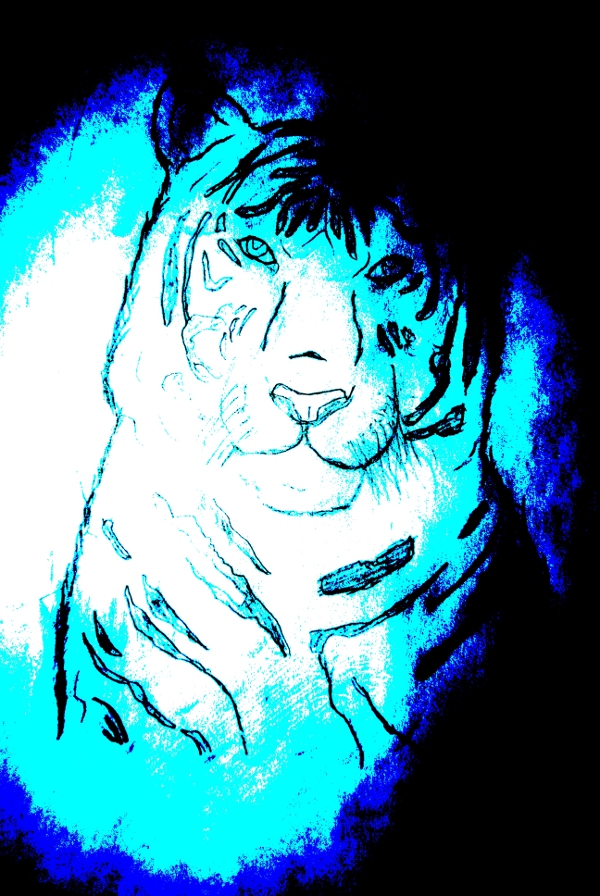 This tiger is drawn from a picture!