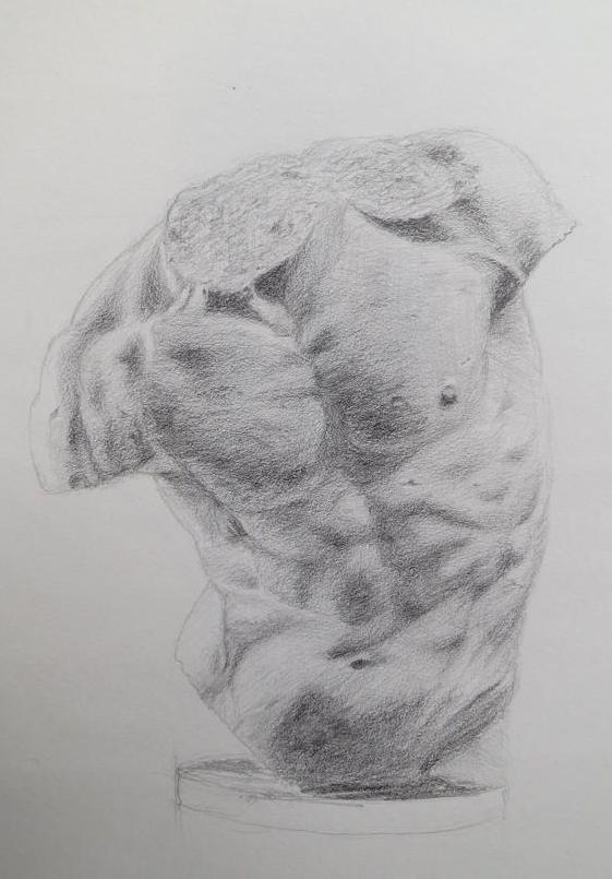 Torso