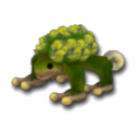Tortoi