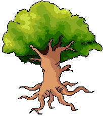 tree1